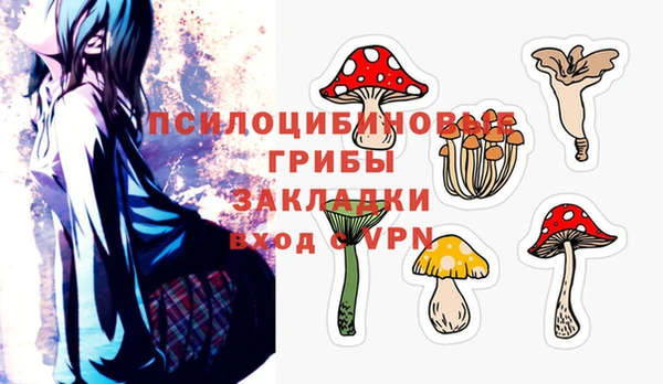 2c-b Алексин
