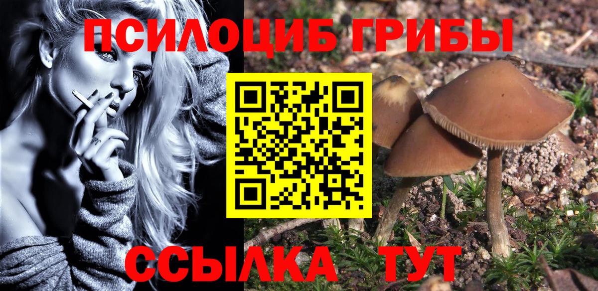 Псилоцибиновые грибы Psilocybe  Вход с VPN  Новороссийск 