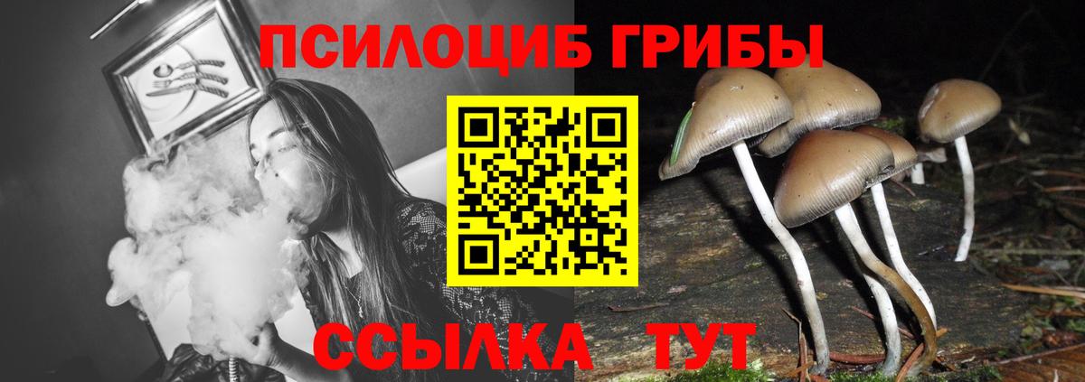 Псилоцибиновые грибы ЛСД Новороссийск