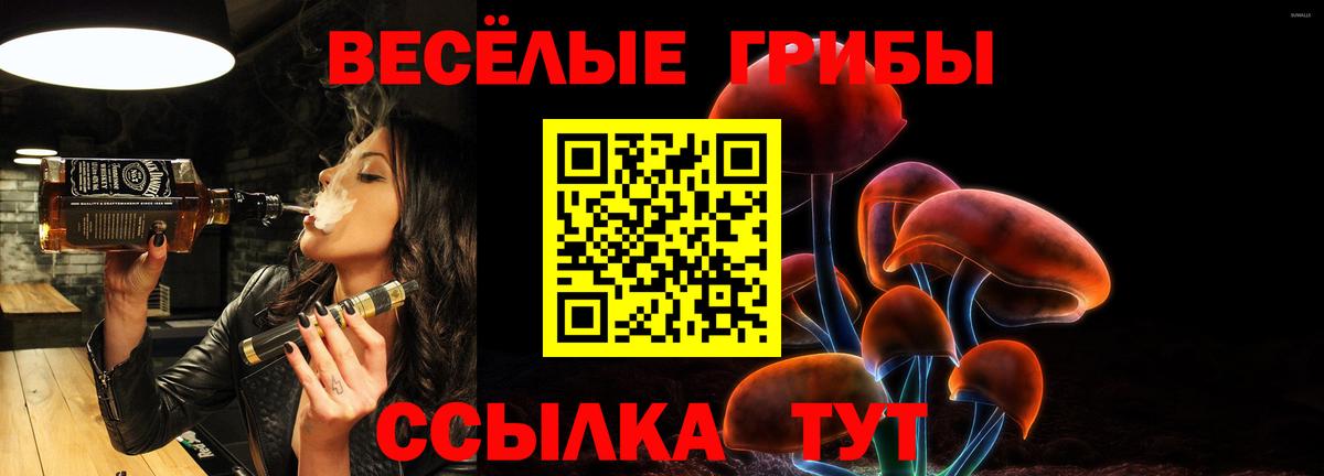 A PVP Новороссийск