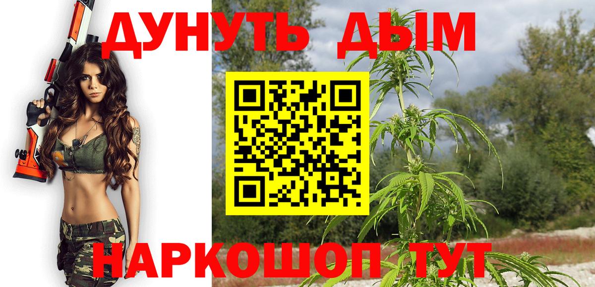 Конопля SATIVA & INDICA Новороссийск